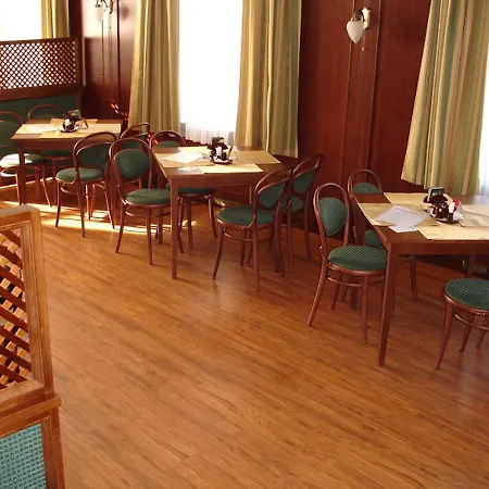 Restaurace U Medveda Starkov (Hradec Kralove)